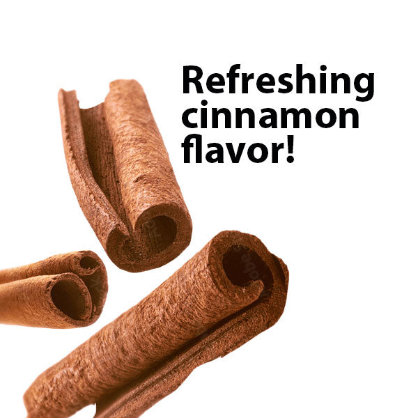 CHOMP Cinnamon Toothpaste Tablets with NHAP Refills with Flossing Toothbrush